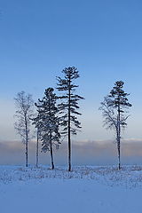 фото "У Байкала."