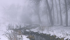 фото "В туман за ежиком..."