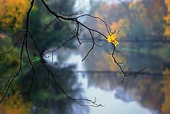photo "***"