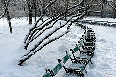 photo "A composition winter"