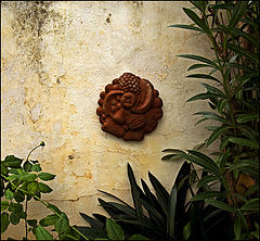 photo "***"