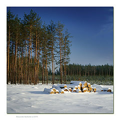 album "Boyarka"