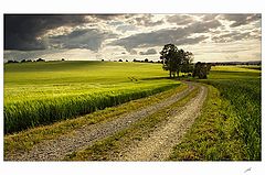 фото "Way Home"