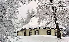 фото "Зимно"