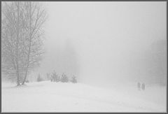 photo "Bad weather"