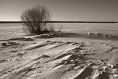 photo "***"