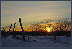 photo "***"