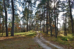 фото "Осенним днем"