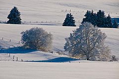photo "Harz"