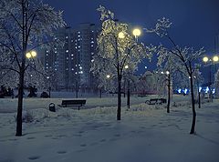 фото "Про лёд, дождь и декабрь"