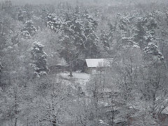 фото "Снегопад"