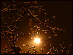 photo "* * * *"