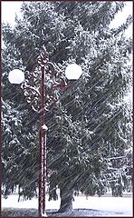 photo "let it snow!!!"