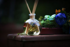 photo "Alchemistry"