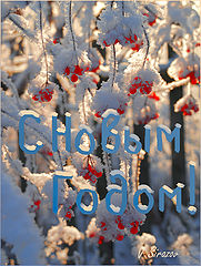 photo "Happy New Year!"