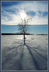 photo "***"