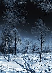 фото "Прогулки при Луне"
