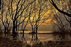 photo "***"