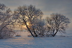 photo "***"