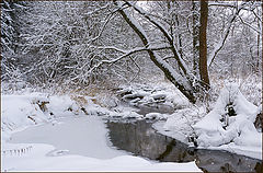 photo "Isloch River Headwaters"