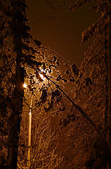 фото "ночной снегопад"