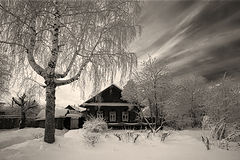 photo "***"
