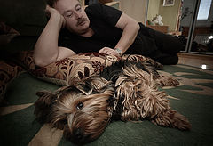 photo "Doggie"