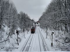 photo "White, black and red"