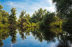 photo "Summer reflections over Danube river"