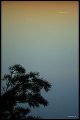 photo "***"