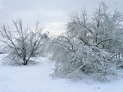 фото "Зимний пейзаж"