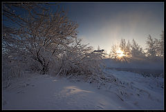 photo "Winter Morning / 0205_0076"