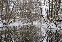 photo "Old Banks"