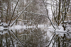 фото "Старые берега"