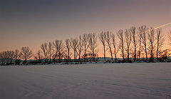 photo "Snowfield"