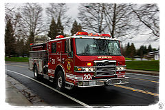 фото "To the rescue"