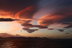 фото "sunset"