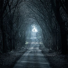 photo "Wandering shadow"