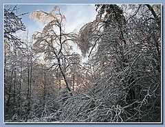фото "В конце дня"