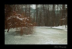 photo "Frozen"