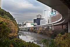 фото "*"