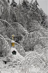 photo "*"