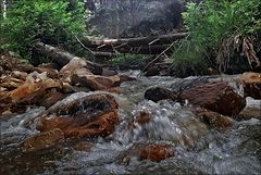 фото "живая вода"