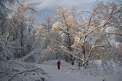 photo "***"