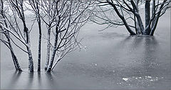 photo "***"