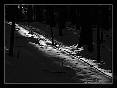 photo "***"