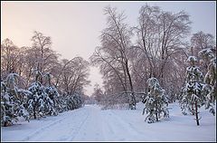 photo "winter morning"