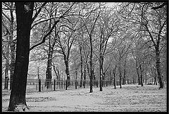 photo "***"