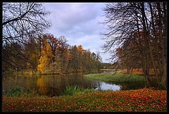 фото "На краю осени"