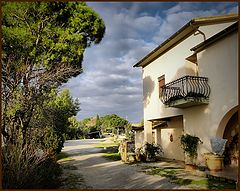фото "Podere Castellaccia"